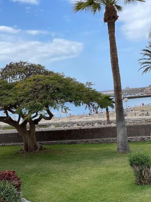 Apartamento Puerto Rico - Primera Linea De Playa Mogán エクステリア 写真